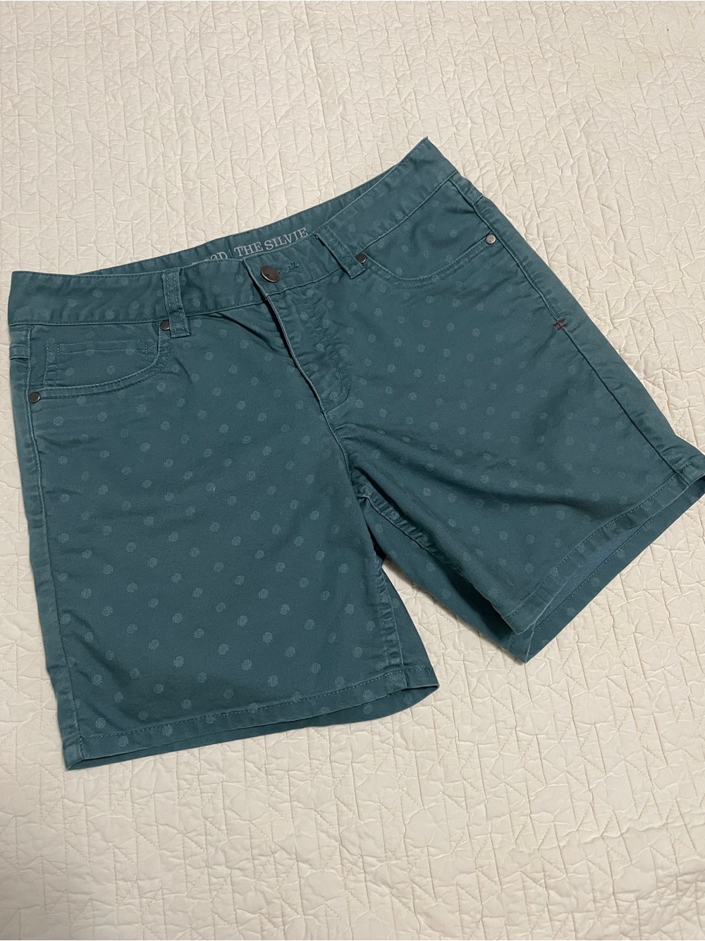 Toad&Co Teal Dot Women's Flat Front Shorts